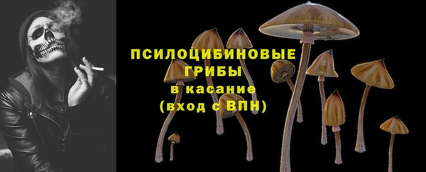 кокс Елизово