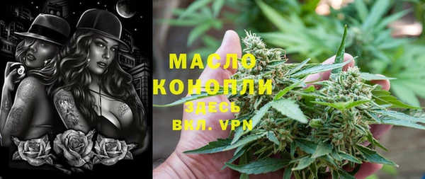 индика Заводоуковск