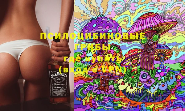 кокс Елизово