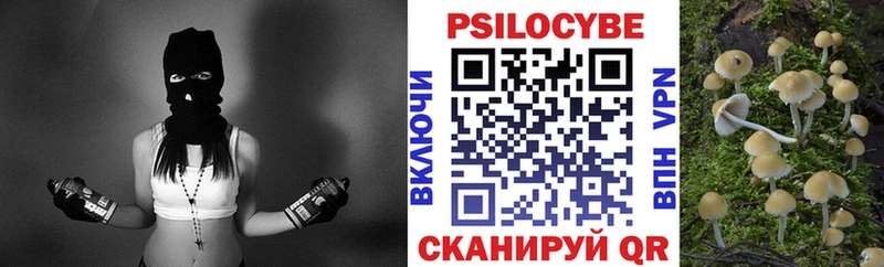Псилоцибиновые грибы прущие грибы  Купить где  Тара 